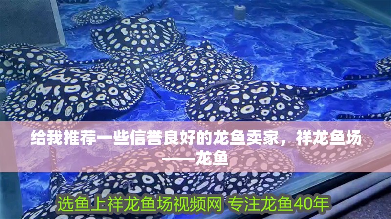 給我推薦一些信譽(yù)良好的龍魚賣家，祥龍魚場——龍魚