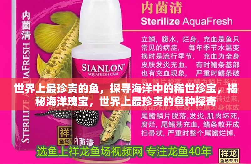 晉州哪里有賣魚缸的店鋪電話號：晉州哪里有賣魚缸的店鋪電話號碼