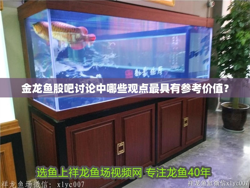 金龍魚股吧討論中哪些觀點最具有參考價值？