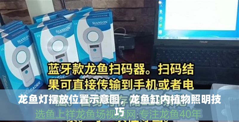 龍魚(yú)燈擺放位置示意圖，龍魚(yú)缸內(nèi)植物照明技巧