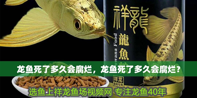 龍魚死了多久會腐爛，龍魚死了多久會腐爛？