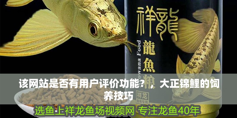 魚缸過濾器選購指南:自制魚缸過濾器魚缸上置過濾器對于養(yǎng)魚愛好者的必備知識 該網(wǎng)站是否有用戶評價功能?,大正錦鯉的飼養(yǎng)技巧 龍魚百科 該網(wǎng)站是否有用戶評價功能?,大正錦鯉的飼養(yǎng)技巧 該網(wǎng)站是否有用戶評價功能?,大正錦鯉的飼養(yǎng)技巧 龍魚百科