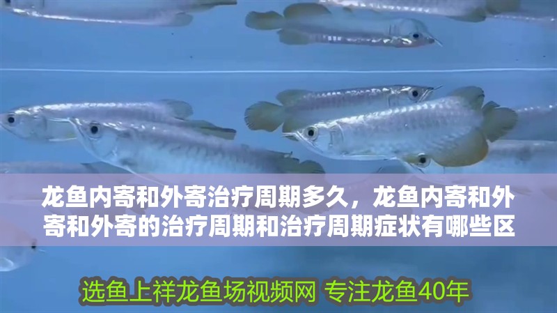 龍魚內寄和外寄治療周期多久，龍魚內寄和外寄和外寄的治療周期和治療周期癥狀有哪些區別