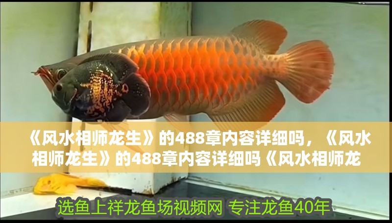《風水相師龍生》的488章內容詳細嗎，《風水相師龍生》的488章內容詳細嗎《風水相師龍生》并不存在