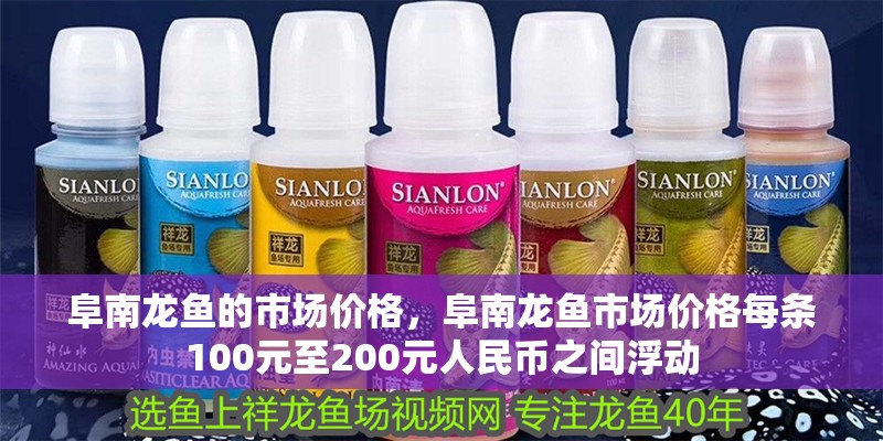 阜南龍魚(yú)的市場(chǎng)價(jià)格，阜南龍魚(yú)市場(chǎng)價(jià)格每條100元至200元人民幣之間浮動(dòng)