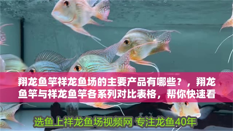 翔龍魚竿祥龍魚場(chǎng)的主要產(chǎn)品有哪些？，翔龍魚竿與祥龍魚竿各系列對(duì)比表格，幫你快速看清參數(shù)差異