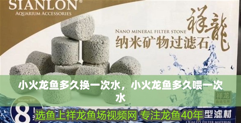 小火龍魚多久換一次水，小火龍魚多久喂一次水 小火龍魚多久換一次水，小火龍魚多久喂一次水 龍魚百科