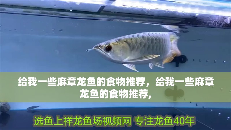 給我一些<strong><mark>麻章</mark></strong>龍魚的食物推薦，給我一些<strong><mark>麻章</mark></strong>龍魚的食物推薦,