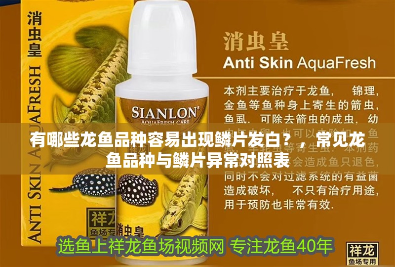 有哪些龍魚品種容易出現鱗片發白？，常見龍魚品種與鱗片異常對照表