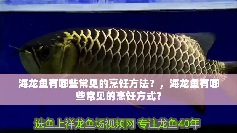 海龍魚有哪些常見的烹飪方法？，海龍魚有哪些常見的烹飪方式？