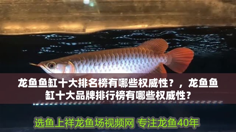 龍魚魚缸十大排名榜有哪些權威性？，龍魚魚缸十大品牌排行榜有哪些權威性？