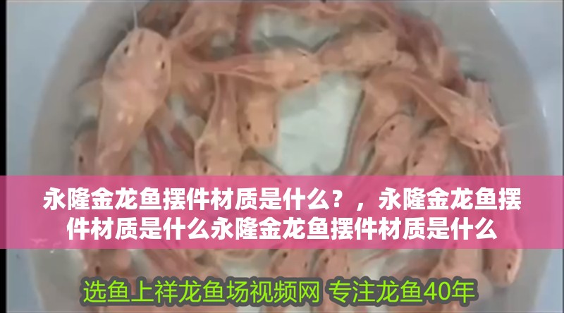 永隆金龍魚擺件材質是什么？，永隆金龍魚擺件材質是什么永隆金龍魚擺件材質是什么 永隆金龍魚擺件材質是什么？，永隆金龍魚擺件材質是什么永隆金龍魚擺件材質是什么 龍魚百科