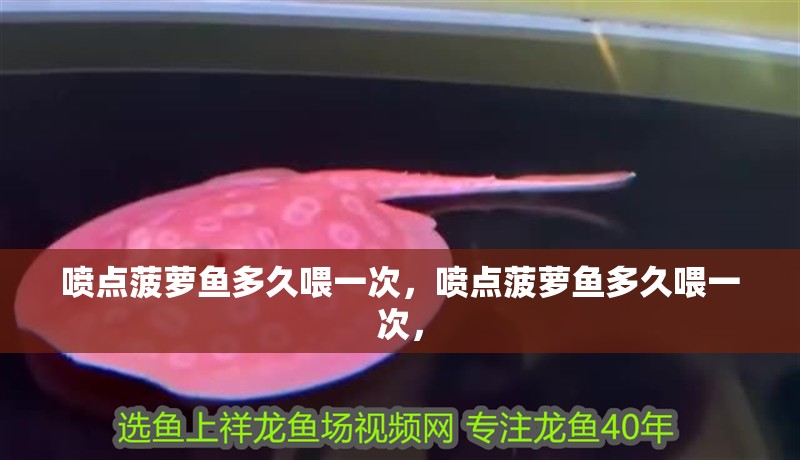噴點(diǎn)菠蘿魚多久喂一次，噴點(diǎn)菠蘿魚多久喂一次，