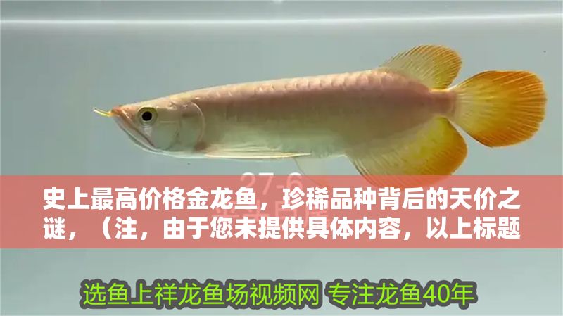史上最高價格金龍魚，珍稀品種背后的天價之謎，（注，由于您未提供具體內容，以上標題是基于金龍魚珍稀品種高價這一常見主題創作的示例。若您能提供實際內容，我將為您生成更精準匹配的標題。）