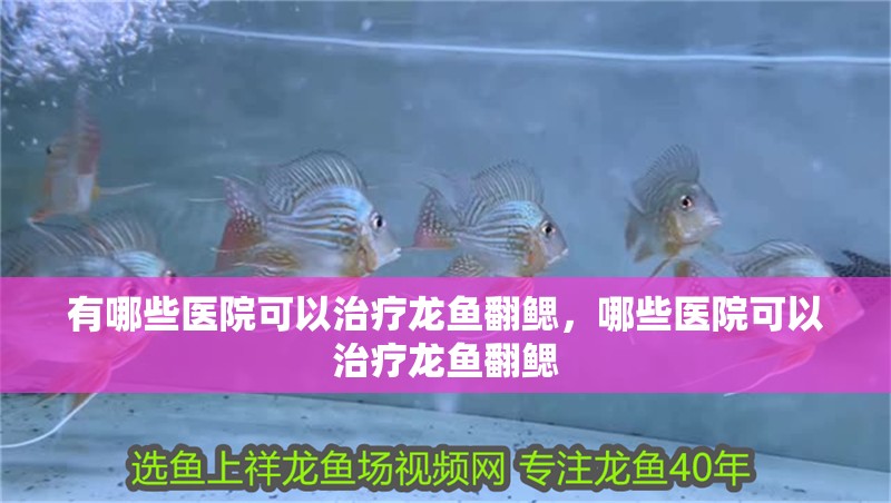 有哪些醫院可以治療龍魚翻鰓，哪些醫院可以治療龍魚翻鰓
