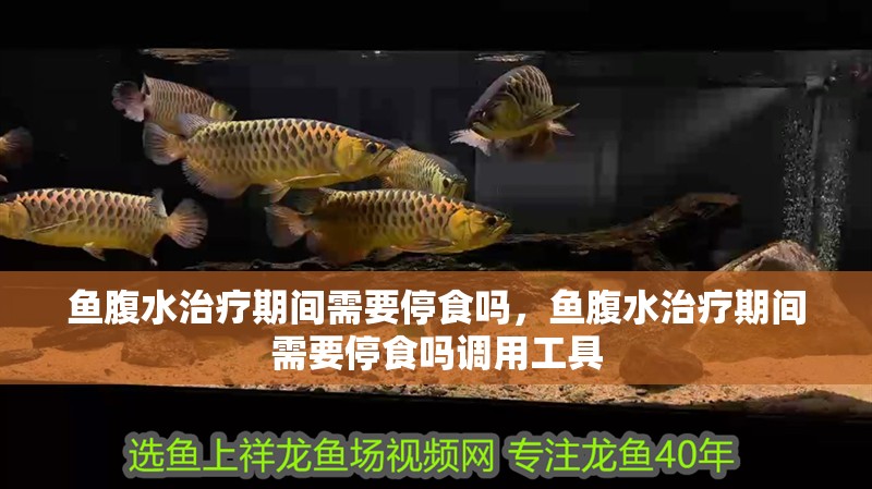 魚腹水治療期間需要停食嗎，魚腹水治療期間需要停食嗎調用工具