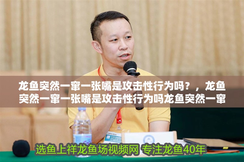 龍魚突然一竄一張嘴是攻擊性行為嗎？，龍魚突然一竄一張嘴是攻擊性行為嗎龍魚突然一竄一張嘴是生病了嗎