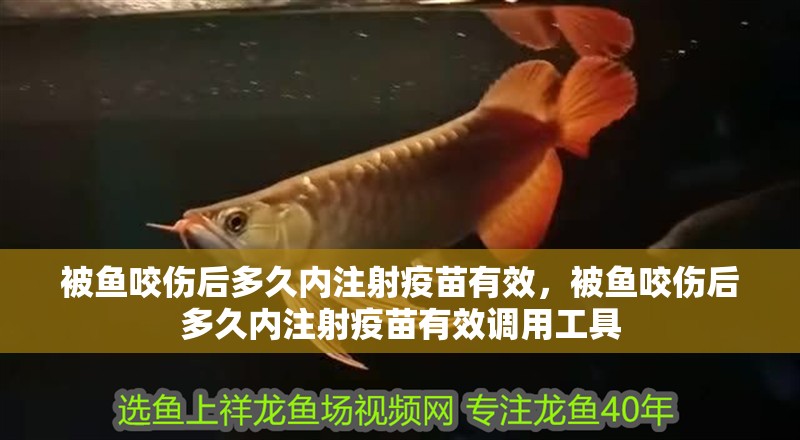 被魚咬傷后多久內(nèi)注射疫苗有效，被魚咬傷后多久內(nèi)注射疫苗有效調(diào)用工具 被魚咬傷后多久內(nèi)注射疫苗有效，被魚咬傷后多久內(nèi)注射疫苗有效調(diào)用工具 龍魚百科
