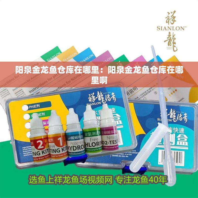 陽(yáng)泉金龍魚倉(cāng)庫(kù)在哪里：陽(yáng)泉金龍魚倉(cāng)庫(kù)在哪里啊