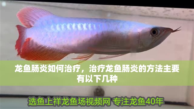 龍魚(yú)腸炎如何治療，治療龍魚(yú)腸炎的方法主要有以下幾種
