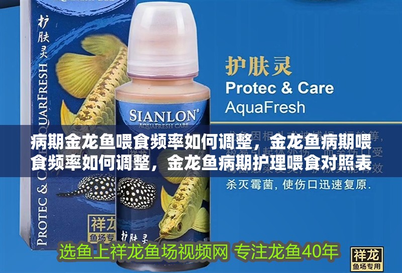 病期金龍魚喂食頻率如何調(diào)整，金龍魚病期喂食頻率如何調(diào)整，金龍魚病期護(hù)理喂食對照表 病期金龍魚喂食頻率如何調(diào)整，金龍魚病期喂食頻率如何調(diào)整，金龍魚病期護(hù)理喂食對照表 龍魚百科