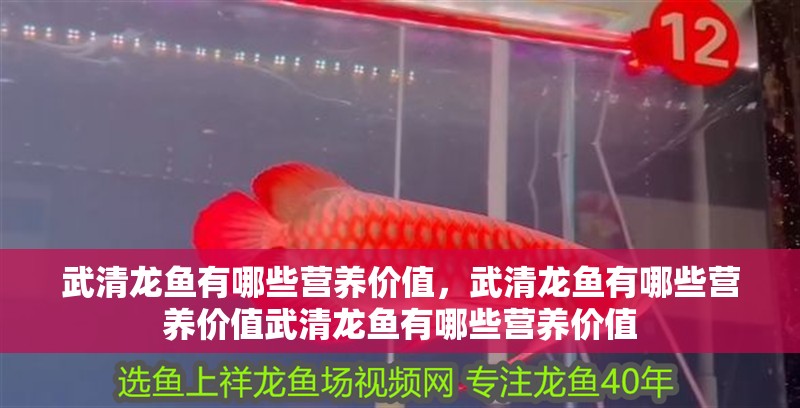 魚缸用增氧泵價格是多少:魚缸增氧機(jī)-xtrac增氧機(jī)-xtrac增氧機(jī) 武清龍魚有哪些營養(yǎng)價值,武清龍魚有哪些營養(yǎng)價值武清龍魚有哪些營養(yǎng)價值 龍魚百科 武清龍魚有哪些營養(yǎng)價值,武清龍魚有哪些營養(yǎng)價值武清龍魚有哪些營養(yǎng)價值 武清龍魚有哪些營養(yǎng)價值,武清龍魚有哪些營養(yǎng)價值武清龍魚有哪些營養(yǎng)價值 龍魚百科