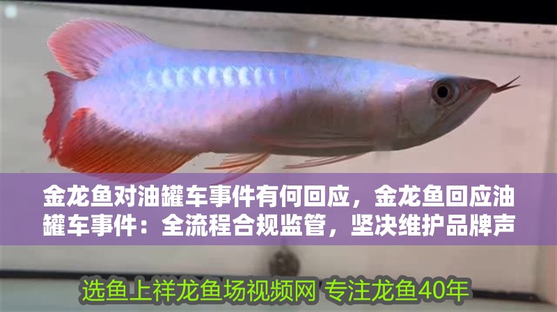 金龍魚對油罐車事件有何回應，金龍魚回應油罐車事件：全流程合規監管，堅決維護品牌聲譽 金龍魚對油罐車事件有何回應，金龍魚回應油罐車事件：全流程合規監管，堅決維護品牌聲譽 龍魚百科
