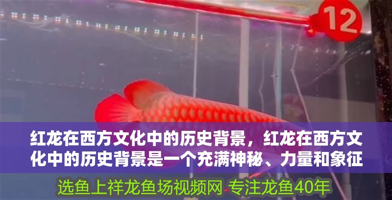 紅龍在西方文化中的歷史背景，紅龍在西方文化中的歷史背景是一個充滿神秘、力量和象征意義的話題