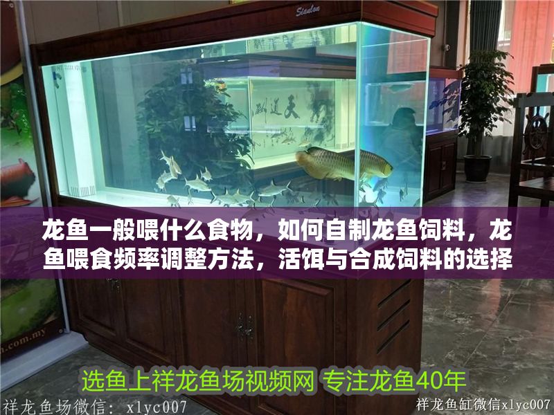 龍魚一般喂什么食物，如何自制龍魚飼料，龍魚喂食頻率調(diào)整方法，活餌與合成飼料的選擇