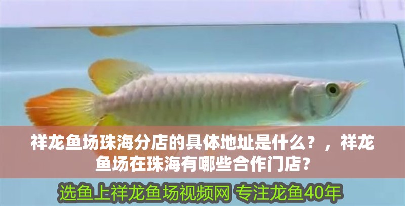 祥龍魚場珠海分店的具體地址是什么？，祥龍魚場在珠海有哪些<strong><mark>合作</mark></strong>門店？