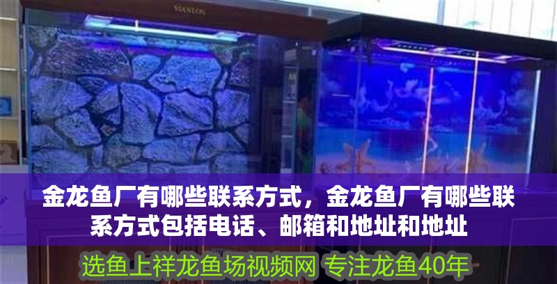 金龍魚廠有哪些聯系方式，金龍魚廠有哪些聯系方式包括電話、郵箱和地址和地址