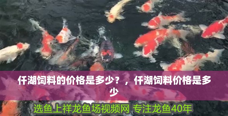仟湖飼料的價格是多少？，仟湖飼料價格是多少