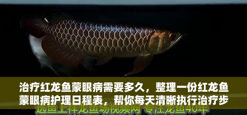 治療紅龍魚蒙眼病需要多久，整理一份紅龍魚蒙眼病護理日程表，幫你每天清晰執行治療步驟？ 治療紅龍魚蒙眼病需要多久，整理一份紅龍魚蒙眼病護理日程表，幫你每天清晰執行治療步驟？ 龍魚百科