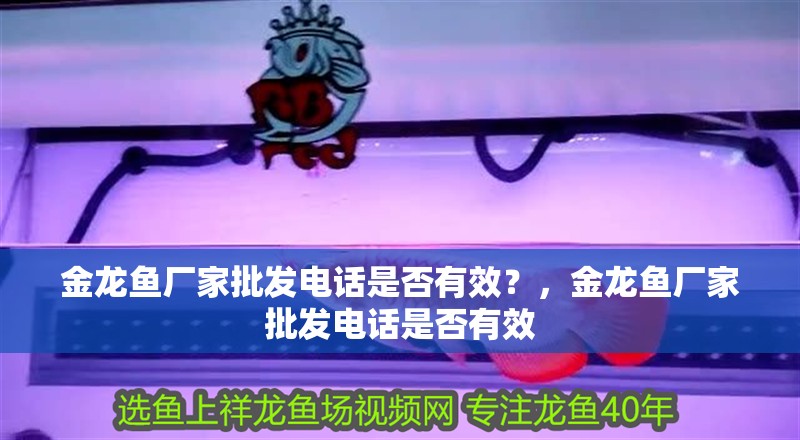 金龍魚廠家批發電話是否有效？，金龍魚廠家批發電話是否有效