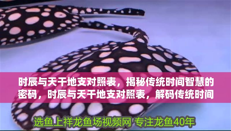 時辰與天干地支對照表，揭秘傳統時間智慧的密碼，時辰與天干地支對照表，解碼傳統時間智慧的奧秘