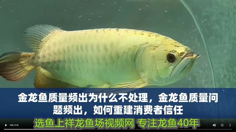 金龍魚質(zhì)量頻出為什么不處理，金龍魚質(zhì)量問題頻出，如何重建消費者信任