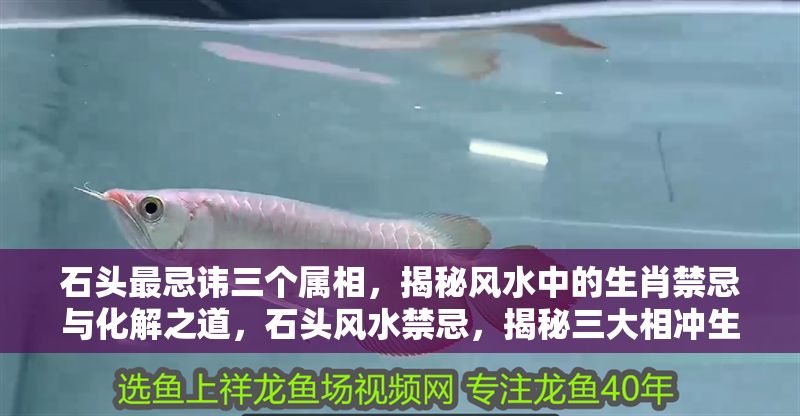 石頭最忌諱三個(gè)屬相，揭秘風(fēng)水中的生肖禁忌與化解之道，石頭風(fēng)水禁忌，揭秘三大相沖生肖及化解方法