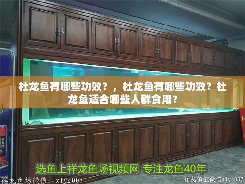 杜龍魚有哪些功效？，杜龍魚有哪些功效？杜龍魚適合哪些人群食用？