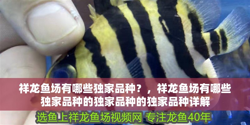 祥龍魚場有哪些獨家品種？，祥龍魚場有哪些獨家品種的獨家品種的獨家品種詳解