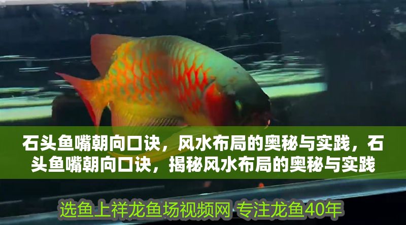 石頭魚嘴朝向口訣，風(fēng)水布局的奧秘與實(shí)踐，石頭魚嘴朝向口訣，揭秘風(fēng)水布局的奧秘與實(shí)踐技巧