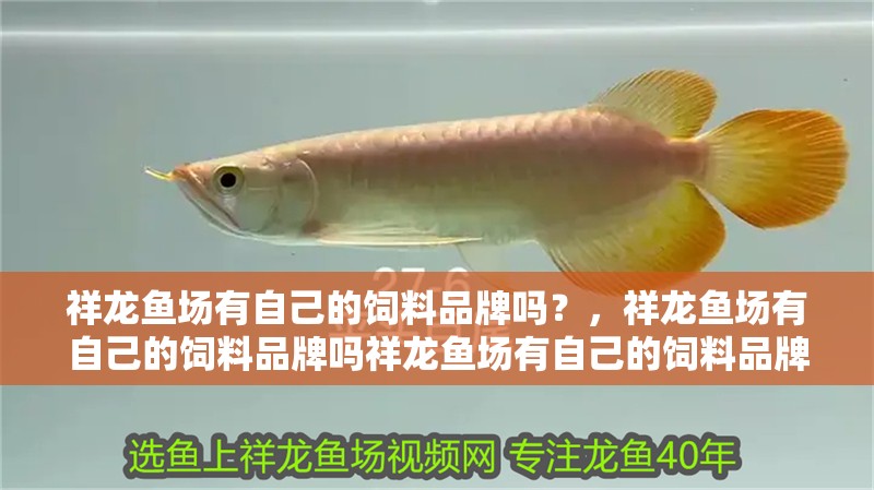 祥龍魚場有自己的飼料品牌嗎？，祥龍魚場有自己的飼料品牌嗎祥龍魚場有自己的飼料品牌嗎
