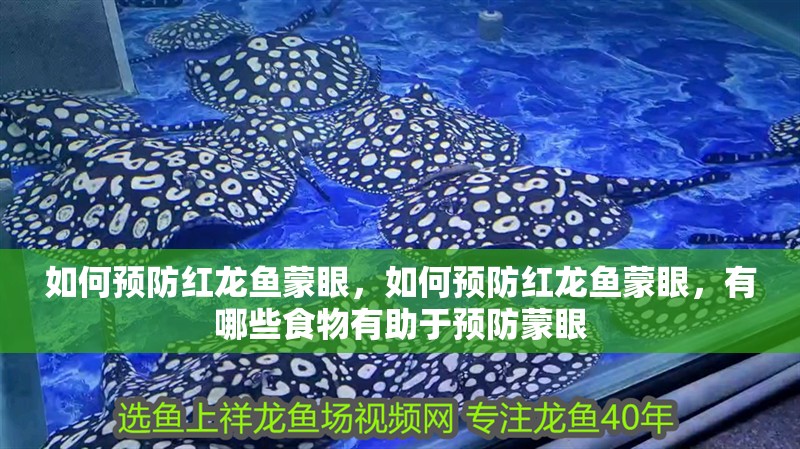 如何預防紅龍魚蒙眼，如何預防紅龍魚蒙眼，有哪些食物有助于預防蒙眼