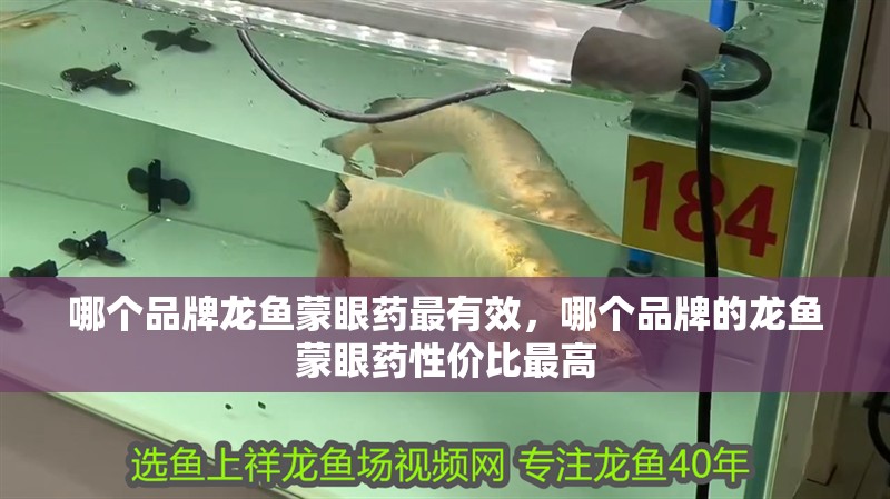 哪個品牌龍魚蒙眼藥最有效，哪個品牌的龍魚蒙眼藥性價比最高