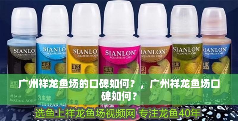 廣州祥龍魚場的口碑如何？，廣州祥龍魚場口碑如何？