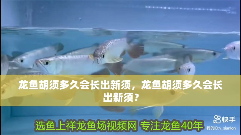 龍魚胡須多久會長出新須，龍魚胡須多久會長出新須？