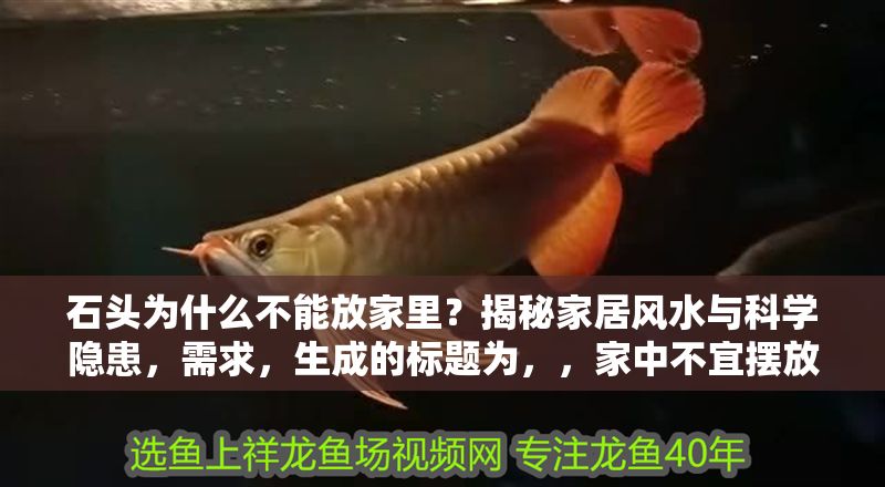 石頭為什么不能放家里？揭秘家居風水與科學隱患，需求，生成的標題為，，家中不宜擺放石頭的風水講究與科學隱患解析，融合了風水文化與科學角度，簡潔明確地概括了核心內容。若需調整側重點，可在此基礎上微調，如更偏向科學則強調健康隱患，偏重風水則突出破財禁忌等。） 石頭為什么不能放家里？揭秘家居風水與科學隱患，需求，生成的標題為，，家中不宜擺放石頭的風水講究與科學隱患解析，融合了風水文化與科學角度，簡潔明確地概括了核心內容。若需調整側重點，可在此基礎上微調，如更偏向科學則強調健康隱患，偏重風水則突出破財禁忌等。） 龍魚百科 第1張