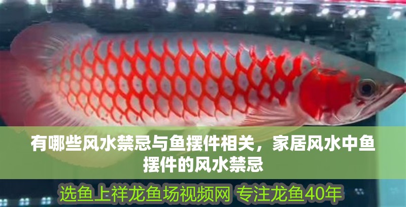 有哪些風水禁忌與魚擺件相關，家居風水中魚擺件的風水禁忌