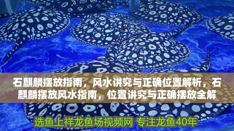 石麒麟擺放指南，風(fēng)水講究與正確位置解析，石麒麟擺放風(fēng)水指南，位置講究與正確擺放全解析