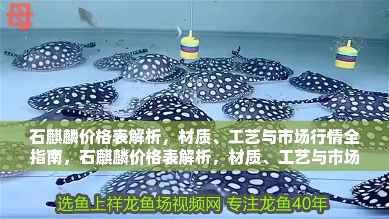石麒麟價(jià)格表解析，材質(zhì)、工藝與市場(chǎng)行情全指南，石麒麟價(jià)格表解析，材質(zhì)、工藝與市場(chǎng)行情全指南