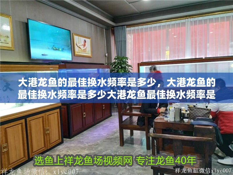 <strong><mark>大港</mark></strong>龍魚的最佳換水頻率是多少，<strong><mark>大港</mark></strong>龍魚的最佳換水頻率是多少<strong><mark>大港</mark></strong>龍魚最佳換水頻率是多少